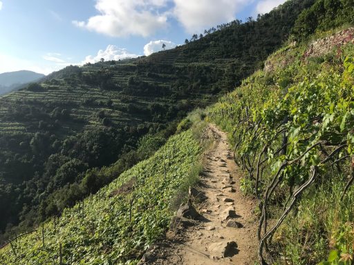 Cinque Terre, Italy