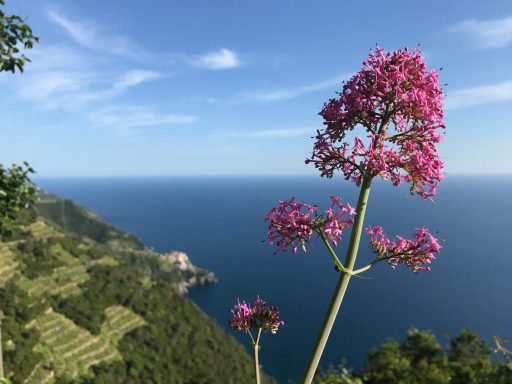 Cinque Terre, Italy